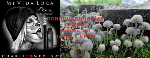 МДПВ Надым