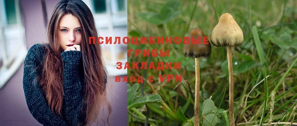 молекула духа Наволоки