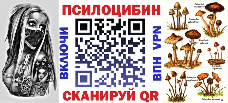 кракен ТОР  даркнет сайт  Нижнеудинск  Галлюциногенные грибы мухоморы 