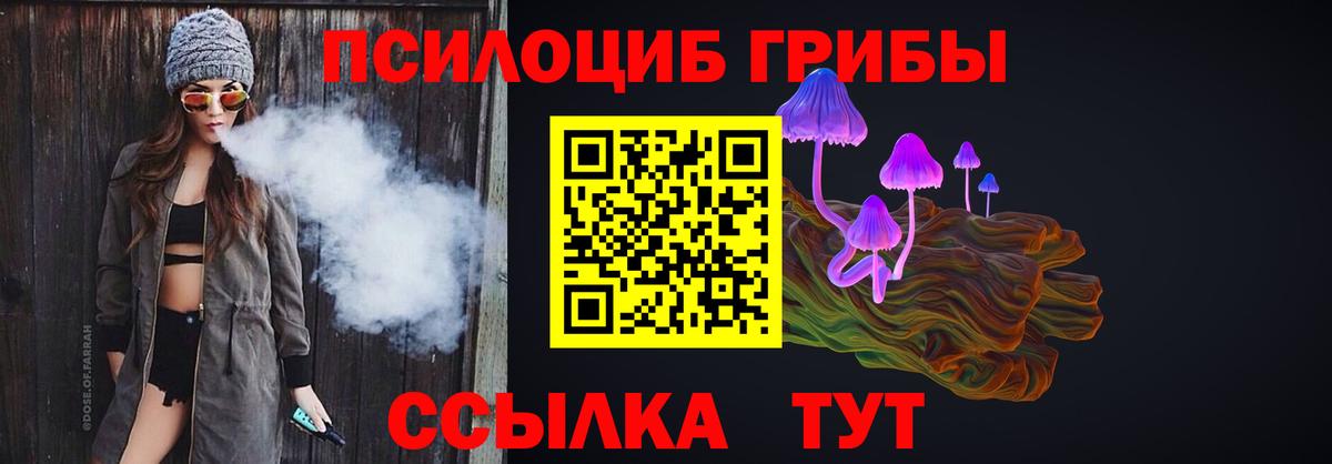 Галлюциногенные грибы Psilocybe  цена   Нижнеудинск  Псилоцибиновые грибы ЛСД  Вход с VPN 